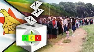ZEC rejects colour ballot paper