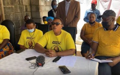 Spiteful Khupe tells supporters not to vote fot MDC Alliance